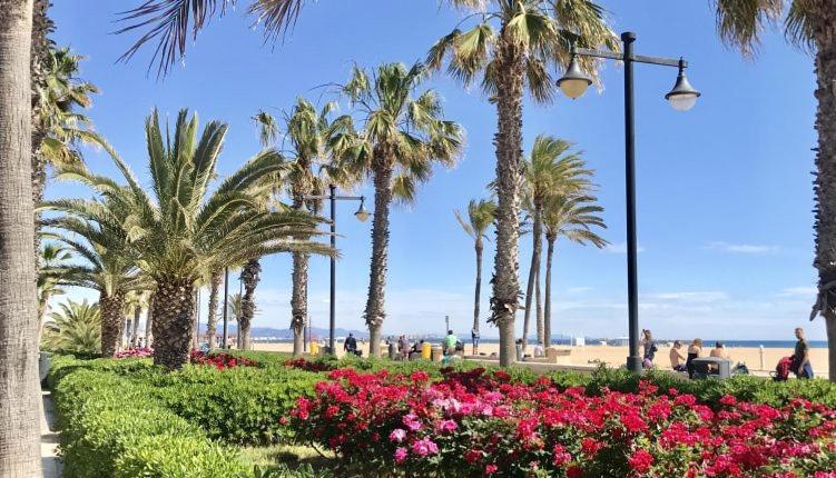Apartamento Turistico Lux Center Valencia Exteriör bild
