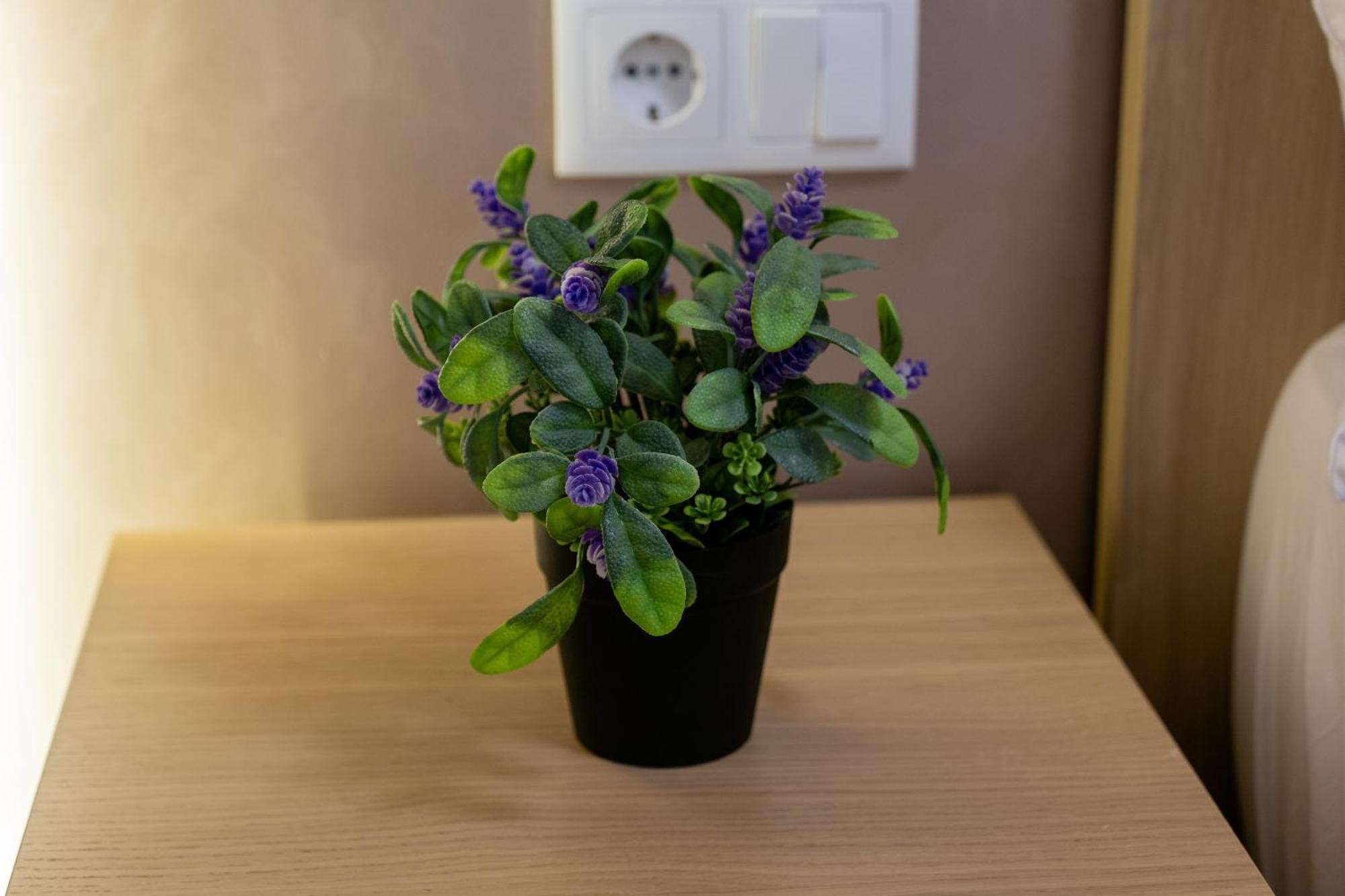 Apartamento Turistico Lux Center Valencia Exteriör bild