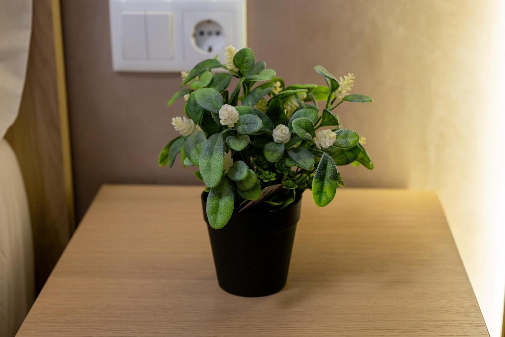 Apartamento Turistico Lux Center Valencia Exteriör bild